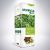 Moringa Forte 500ml - FH